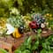 Glitzhome® 10" Bee & Ladybug Metal Statue Planter Set